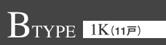 B TYPE 1Ki11ˁj